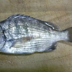 風がふいているなかの釣り